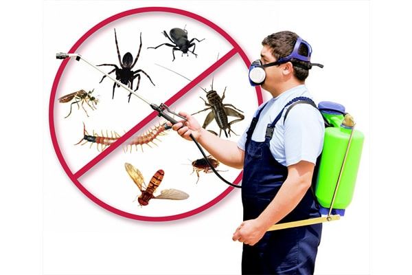 Dedetizadoras em Exu 【4 empresas】 - Pernambuco perto de você. Guia de Telefones e Endereços